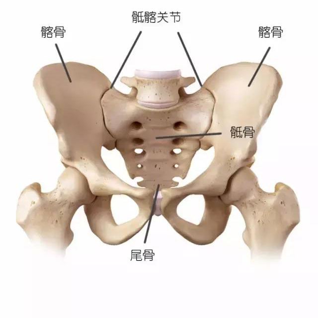 4字实验自测股骨头坏死早期会有这些症状