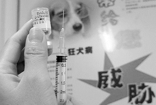 打狂犬疫苗用的5针法,现在已经打了前3针,后面的2针可