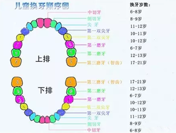 宝宝乳牙可用来治疗疑难杂症?