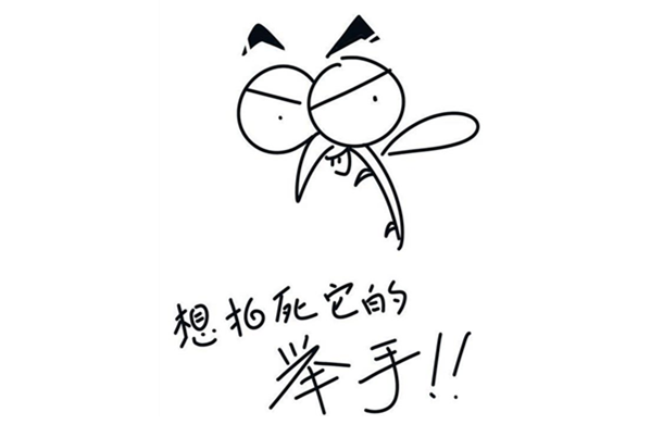 我一直很疑惑,在地铁公交上的飞虫蚊子之类的,它们不停在杆上,就这么